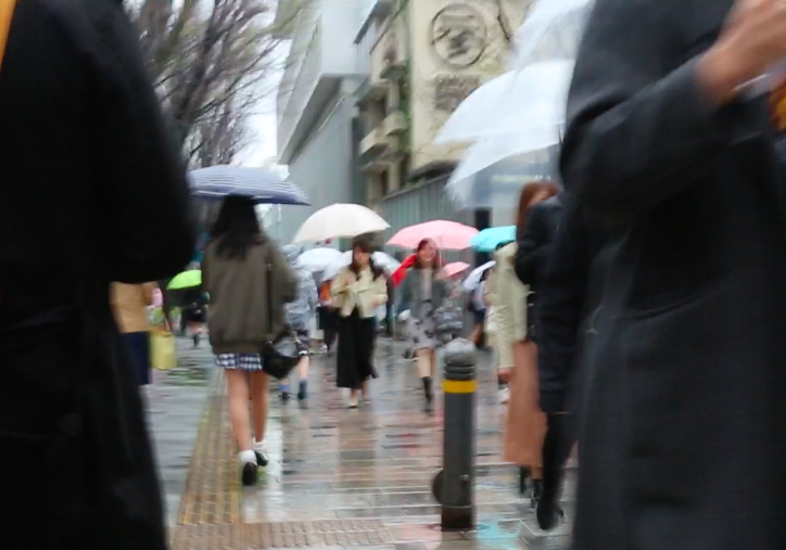 雨の表参道