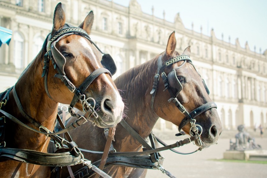 horse-drawn-carriage-1157187_1280